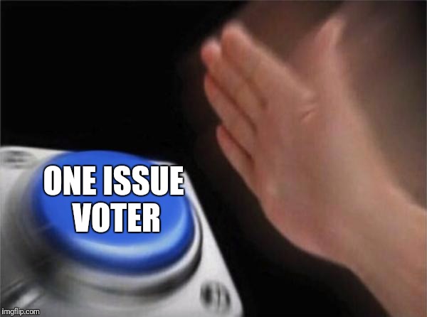 Blank Nut Button Meme | ONE ISSUE VOTER | image tagged in memes,blank nut button | made w/ Imgflip meme maker