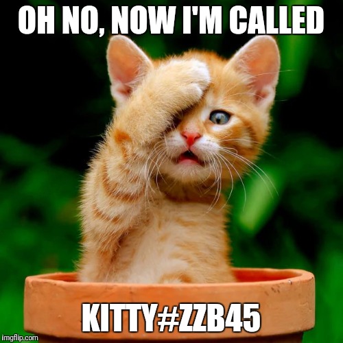Grandma uses her cat name as her password | OH NO, NOW I'M CALLED KITTY#ZZB45 | image tagged in kitten facepalm,password,grandma | made w/ Imgflip meme maker