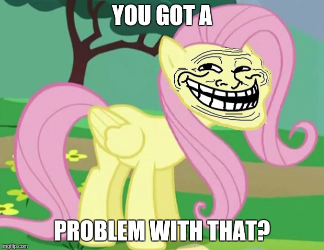 Fluttertroll | YOU GOT A PROBLEM WITH THAT? | image tagged in fluttertroll | made w/ Imgflip meme maker