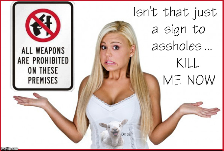 Gun Free Zone- Just Kill Me Now | image tagged in gun free zone,2nd amendment,girls with guns,politics lol,funny memes,hot babes | made w/ Imgflip meme maker
