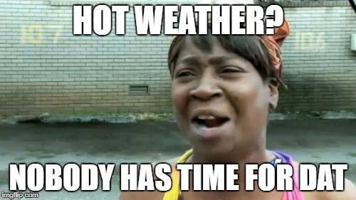 Ain't Nobody Got Time For That Meme | HOT WEATHER? NOBODY HAS TIME FOR DAT | image tagged in memes,aint nobody got time for that | made w/ Imgflip meme maker