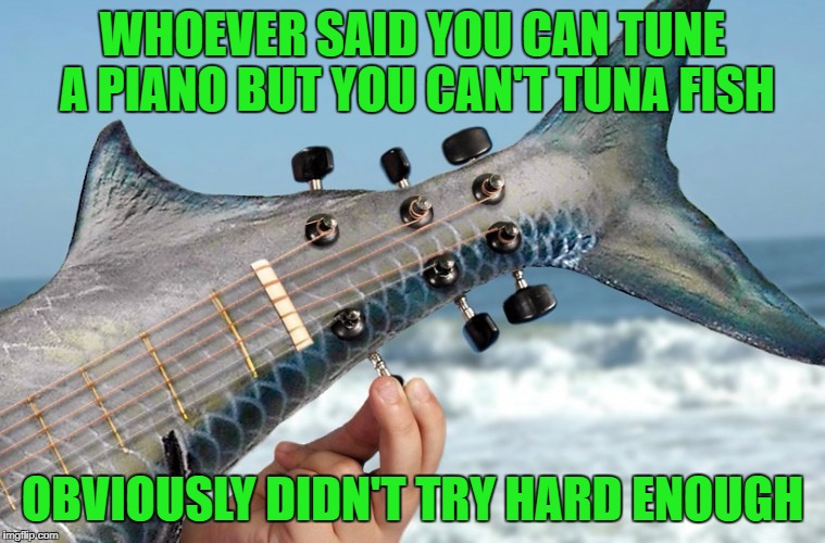 You can tune a piano AND you can tuna fish!!! | WHOEVER SAID YOU CAN TUNE A PIANO BUT YOU CAN'T TUNA FISH; OBVIOUSLY DIDN'T TRY HARD ENOUGH | image tagged in tuna fish,memes,tune a fish,funny,puns,fish | made w/ Imgflip meme maker