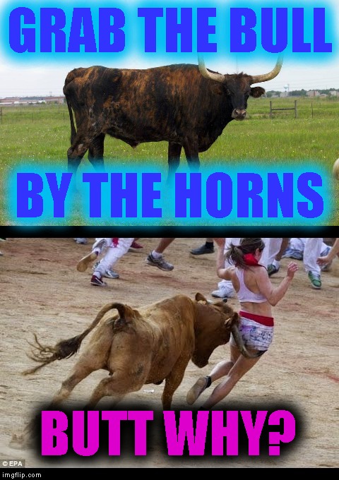 That's Bull | GRAB THE BULL; BY THE HORNS; BUTT WHY? | image tagged in memes,that's bull,grab the bull by the horns,butt why | made w/ Imgflip meme maker