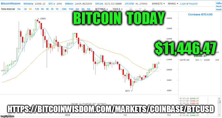 BITCOIN  TODAY; $11,446.47; HTTPS://BITCOINWISDOM.COM/MARKETS/COINBASE/BTCUSD | made w/ Imgflip meme maker