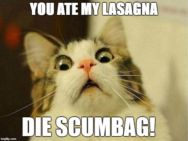 Scared Cat Meme | YOU ATE MY LASAGNA; DIE SCUMBAG! | image tagged in memes,scared cat | made w/ Imgflip meme maker