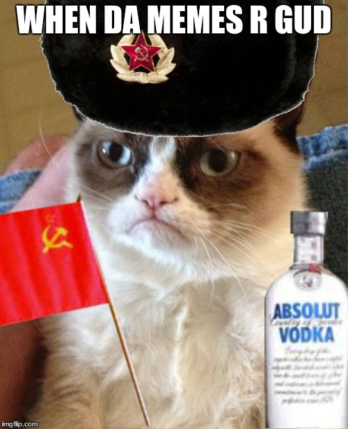 soviet grumpy cat | WHEN DA MEMES R GUD | image tagged in soviet grumpy cat | made w/ Imgflip meme maker