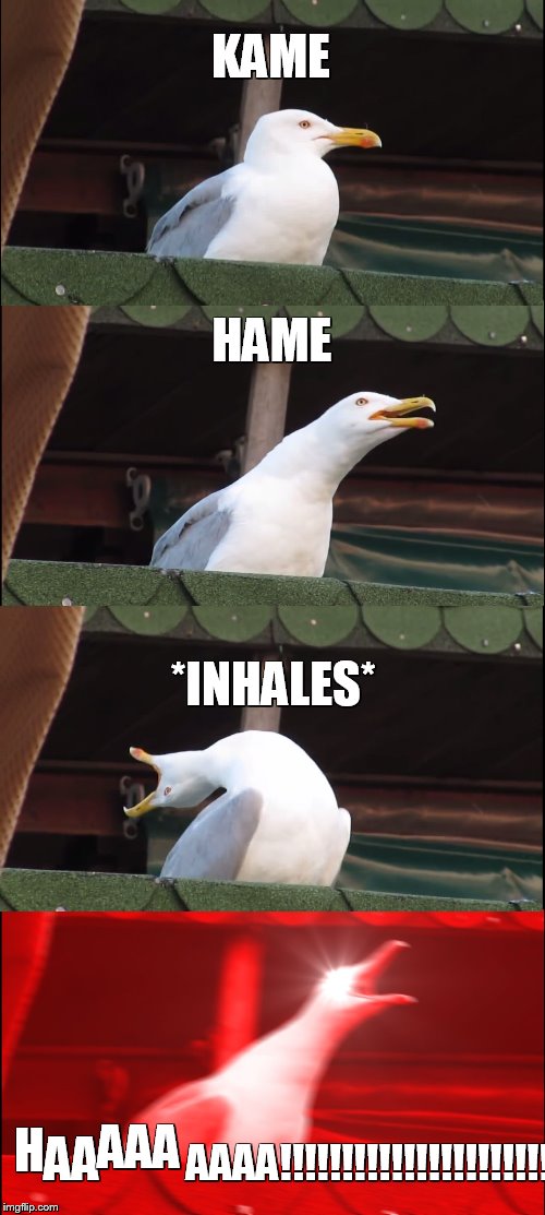 Inhaling Seagull Meme | KAME; HAME; *INHALES*; H; AA; AAA; AAAA!!!!!!!!!!!!!!!!!!!!!!! | image tagged in memes,inhaling seagull | made w/ Imgflip meme maker