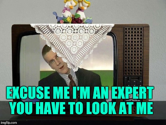 EXCUSE ME I'M AN EXPERT YOU HAVE TO LOOK AT ME | made w/ Imgflip meme maker