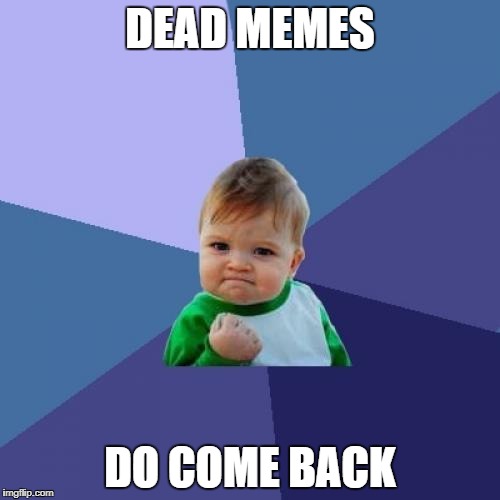 Success Kid | DEAD MEMES; DO COME BACK | image tagged in memes,success kid | made w/ Imgflip meme maker
