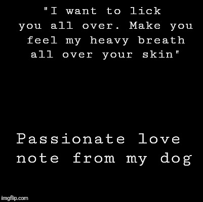 Blank | "I want to lick you all over. Make you feel my heavy breath all over your skin"; Passionate love note from my dog | image tagged in blank | made w/ Imgflip meme maker