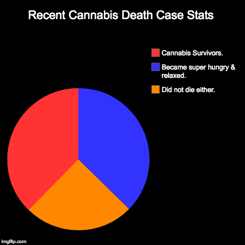 Recent Cannabis Death Case Stats | Did not die either., Became super hungry & relaxed., Cannabis Survivors. | image tagged in funny,pie charts | made w/ Imgflip chart maker