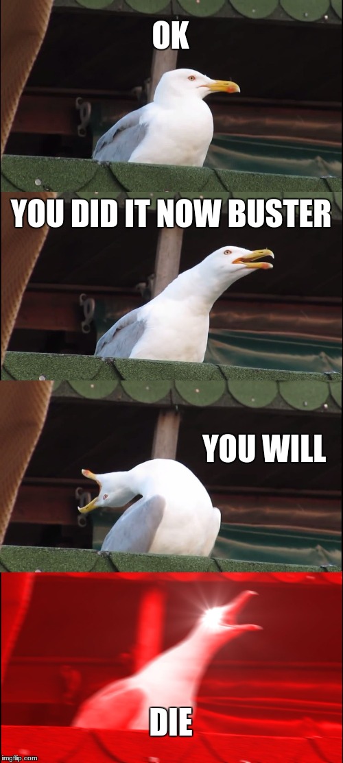 Inhaling Seagull | OK; YOU DID IT NOW BUSTER; YOU WILL; DIE | image tagged in memes,inhaling seagull | made w/ Imgflip meme maker