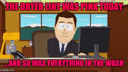 Aaaaand Its Gone Meme | THE DRYER LINT WAS PINK TODAY ...AND SO WAS EVERYTHING IN THE WASH | image tagged in memes,aaaaand its gone | made w/ Imgflip meme maker