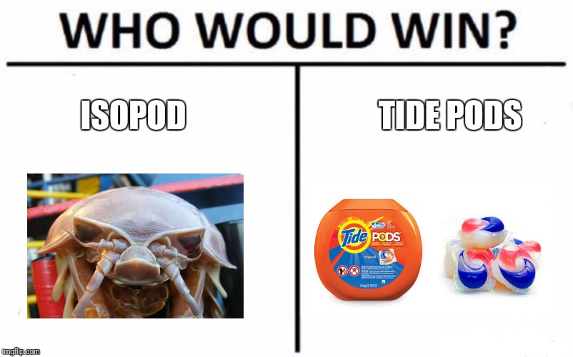 Who Would Win? Meme | ISOPOD; TIDE PODS | image tagged in memes,who would win | made w/ Imgflip meme maker