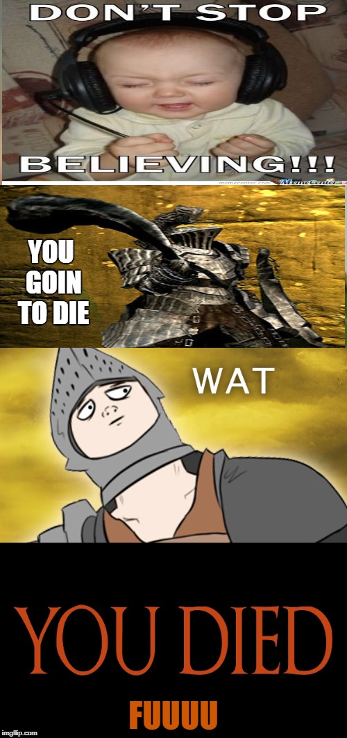 Dark souls | YOU GOIN TO DIE; FUUUU | image tagged in why havel | made w/ Imgflip meme maker