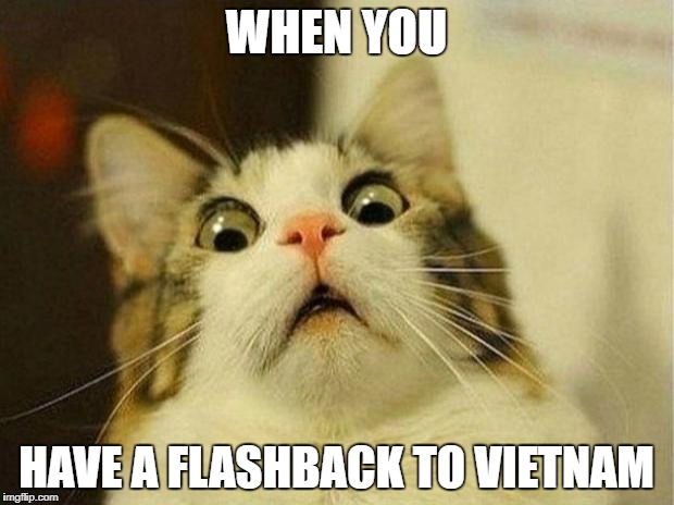 Scared Cat Meme | WHEN YOU; HAVE A FLASHBACK TO VIETNAM | image tagged in memes,scared cat | made w/ Imgflip meme maker