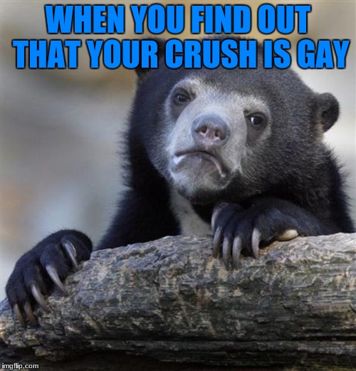 It's worse than being dumped by a straight girlfriend | WHEN YOU FIND OUT THAT YOUR CRUSH IS GAY | image tagged in sad bear,gay,funny memes,first world problems | made w/ Imgflip meme maker