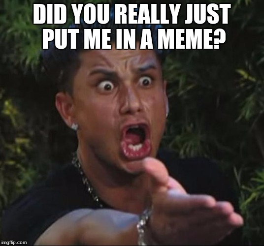 DJ Pauly D Meme | DID YOU REALLY JUST PUT ME IN A MEME? | image tagged in memes,dj pauly d | made w/ Imgflip meme maker