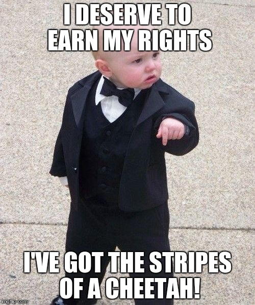 Baby Oddfather | I DESERVE TO EARN MY RIGHTS; I'VE GOT THE STRIPES OF A CHEETAH! | image tagged in memes,baby godfather | made w/ Imgflip meme maker