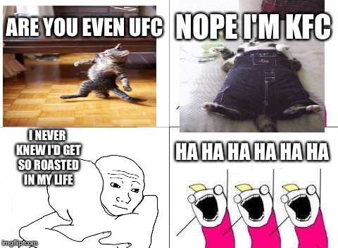 What Do We Want | ARE YOU EVEN UFC; NOPE I'M KFC; I NEVER KNEW I'D GET SO ROASTED IN MY LIFE; HA HA HA HA HA HA | image tagged in memes,what do we want | made w/ Imgflip meme maker