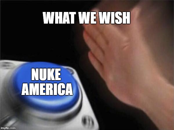 Blank Nut Button | WHAT WE WISH; NUKE AMERICA | image tagged in memes,blank nut button | made w/ Imgflip meme maker