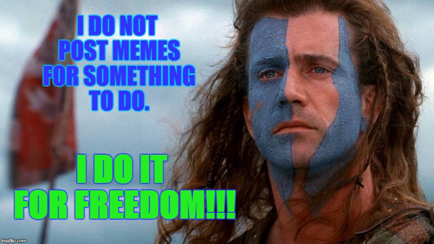 Braveheart | I DO NOT POST MEMES FOR SOMETHING TO DO. I DO IT FOR FREEDOM!!! | image tagged in memes,jokes,funny,humour,imgflip | made w/ Imgflip meme maker