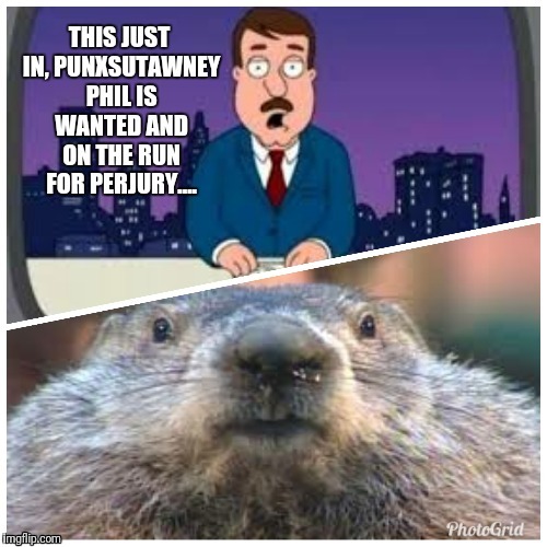 image tagged in groundhog | made w/ Imgflip meme maker