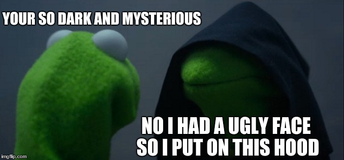 Evil Kermit Meme | YOUR SO DARK AND MYSTERIOUS; NO I HAD A UGLY FACE SO I PUT ON THIS HOOD | image tagged in memes,evil kermit | made w/ Imgflip meme maker