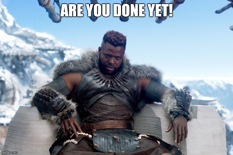 Panther | ARE YOU DONE YET! | image tagged in the black panther | made w/ Imgflip meme maker