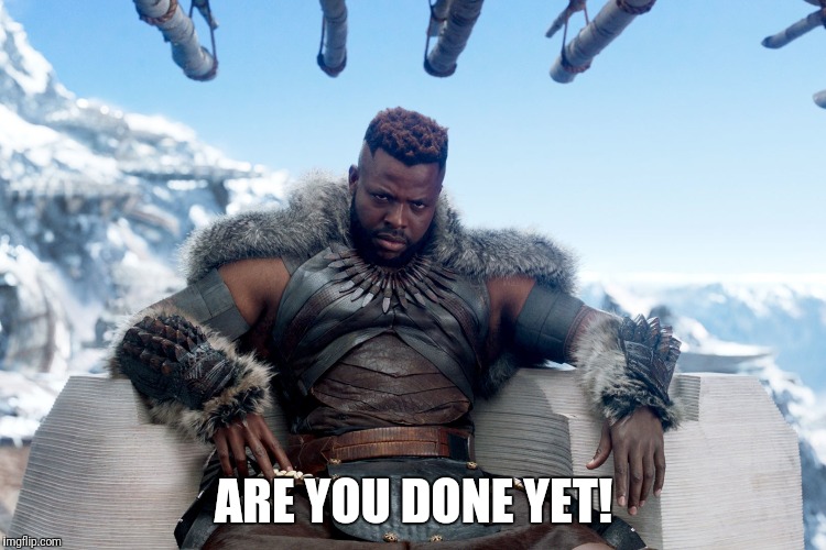 ARE YOU DONE YET! | image tagged in black panther | made w/ Imgflip meme maker