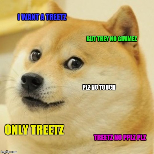I WANT A TREETZ BUT THEY NO GIMMEZ PLZ NO TOUCH ONLY TREETZ TREETZ NO PPLZ PLZ | image tagged in memes,doge | made w/ Imgflip meme maker