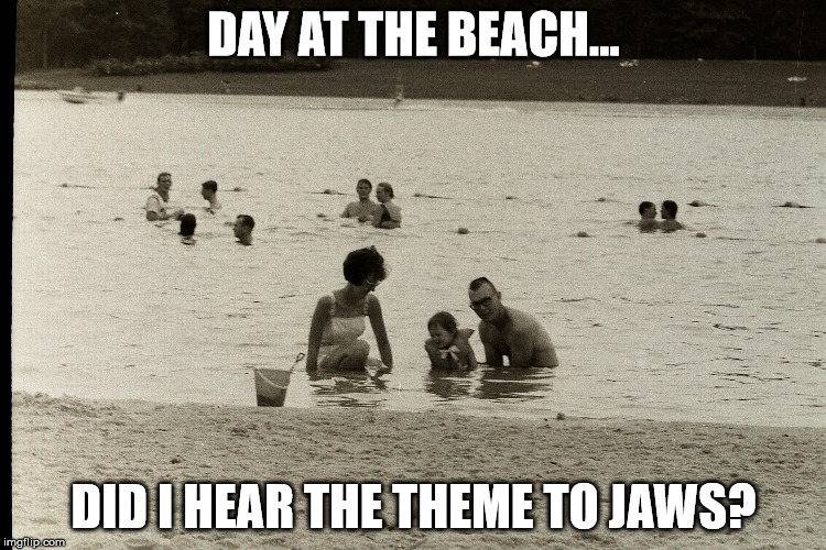 DAY AT THE BEACH... DID I HEAR THE THEME TO JAWS? | made w/ Imgflip meme maker