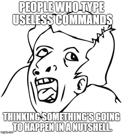 retard | PEOPLE WHO TYPE USELESS COMMANDS; THINKING SOMETHING'S GOING TO HAPPEN IN A NUTSHELL. | image tagged in retard | made w/ Imgflip meme maker