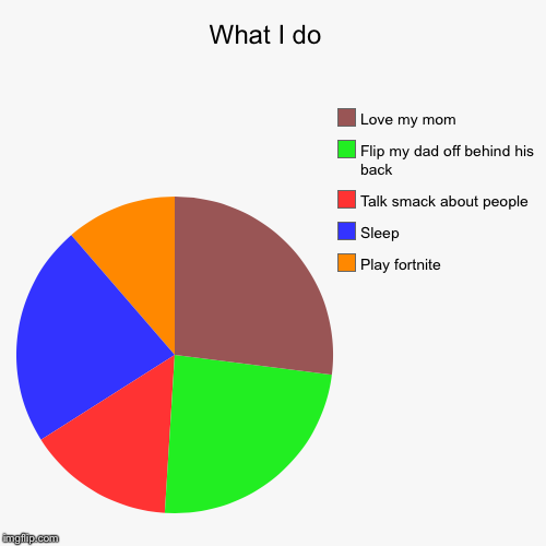 What I do  | Play fortnite, Sleep, Talk smack about people, Flip my dad off behind his back, Love my mom | image tagged in funny,pie charts | made w/ Imgflip chart maker