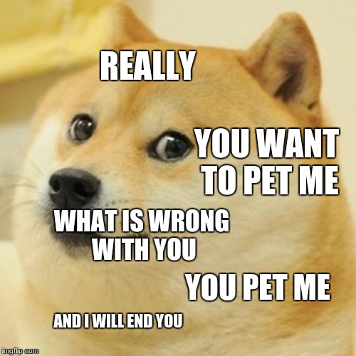 Doge | REALLY; YOU WANT TO PET ME; WHAT IS WRONG WITH YOU; YOU PET ME; AND I WILL END YOU | image tagged in memes,doge | made w/ Imgflip meme maker