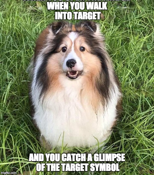 WHEN YOU WALK INTO TARGET; AND YOU CATCH A GLIMPSE OF THE TARGET SYMBOL | made w/ Imgflip meme maker