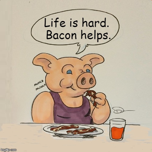 Even if you are a pig! | Life is hard. Bacon helps. | image tagged in pig eating bacon cartoon,vince vance,bacon,bacon meme,cartoon pig | made w/ Imgflip meme maker