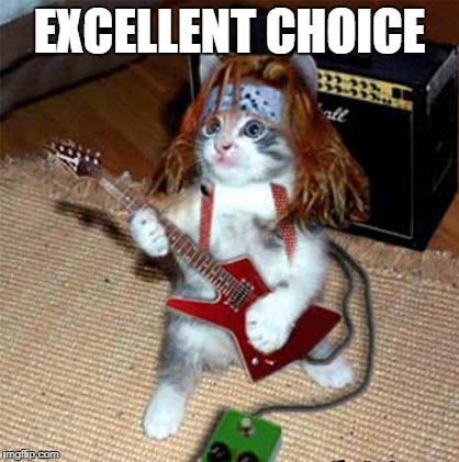 EXCELLENT CHOICE | made w/ Imgflip meme maker