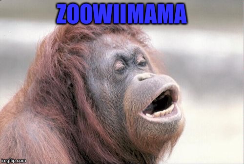 Monkey OOH | ZOOWIIMAMA | image tagged in memes,monkey ooh | made w/ Imgflip meme maker