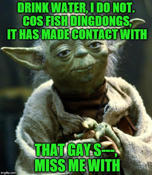 Wise words of Yoda | DRINK WATER, I DO NOT. COS FISH DINGDONGS, IT HAS MADE CONTACT WITH; THAT GAY S---, MISS ME WITH | image tagged in memes,star wars yoda | made w/ Imgflip meme maker
