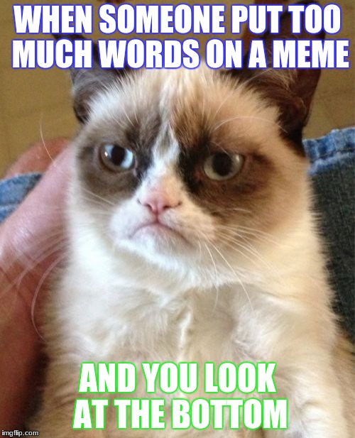 Grumpy Cat | WHEN SOMEONE PUT TOO MUCH WORDS ON A MEME; AND YOU LOOK AT THE BOTTOM | image tagged in memes,grumpy cat | made w/ Imgflip meme maker