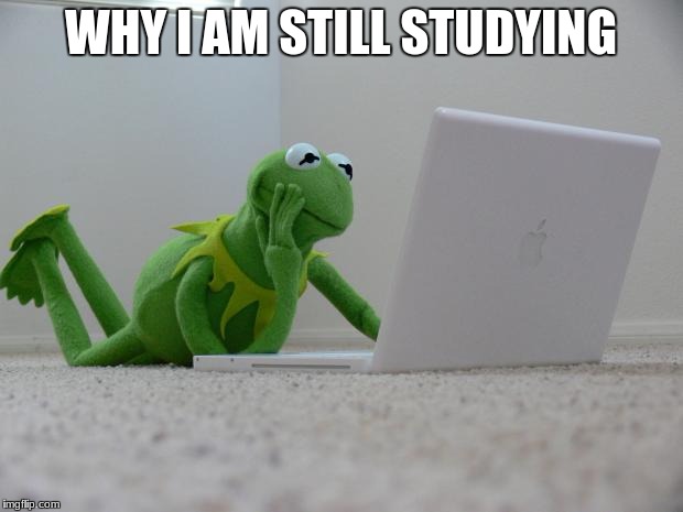 Kirmet the Frog | WHY I AM STILL STUDYING | image tagged in kirmet the frog | made w/ Imgflip meme maker