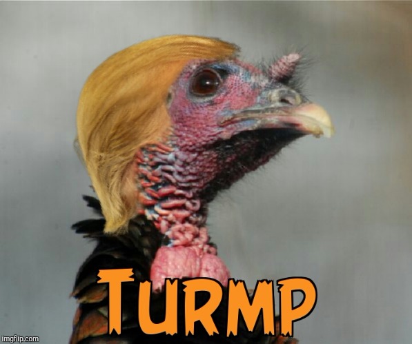 Jive Turkey | image tagged in dondald turmp,donald turkey,turkey trump,trumpkey,funny memes,preidential pardon | made w/ Imgflip meme maker
