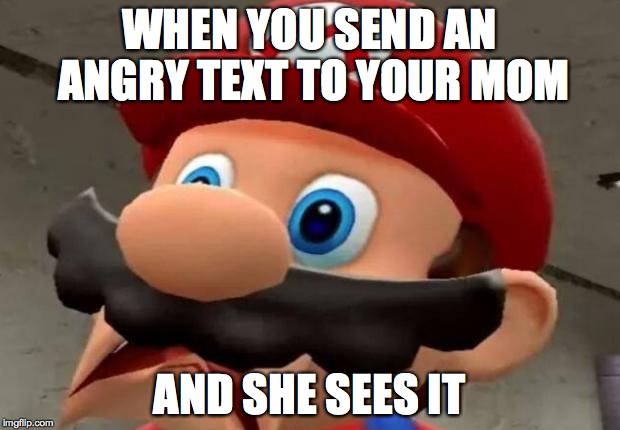 Mario WTF | WHEN YOU SEND AN ANGRY TEXT TO YOUR MOM; AND SHE SEES IT | image tagged in mario wtf | made w/ Imgflip meme maker