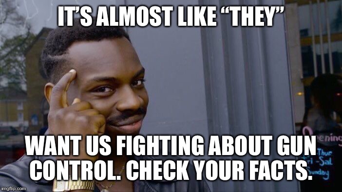 Roll Safe Think About It Meme | IT’S ALMOST LIKE “THEY”; WANT US FIGHTING ABOUT GUN CONTROL. CHECK YOUR FACTS. | image tagged in memes,roll safe think about it | made w/ Imgflip meme maker