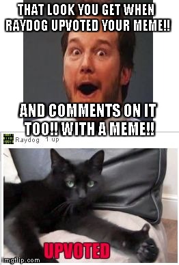 THAT LOOK YOU GET WHEN RAYDOG UPVOTED YOUR MEME!! AND COMMENTS ON IT TOO!! WITH A MEME!! | image tagged in that look | made w/ Imgflip meme maker