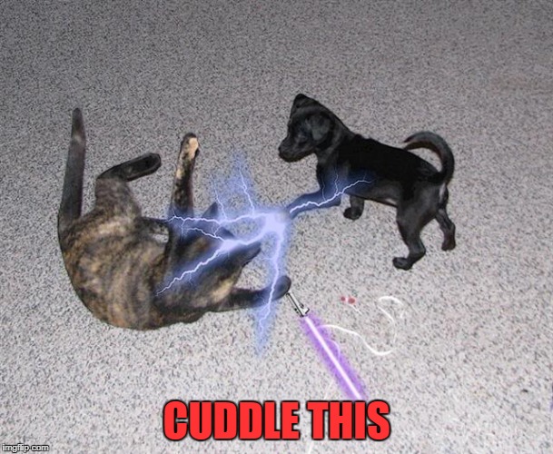 CUDDLE THIS | made w/ Imgflip meme maker