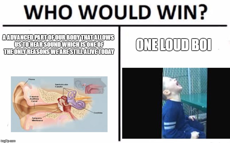 DEATHMATCH!!! | A ADVANCED PART OF OUR BODY THAT ALLOWS US TO HEAR SOUND WHICH IS ONE OF THE ONLY REASONS WE ARE STILL ALIVE TODAY; ONE LOUD BOI | image tagged in who would win,screaming,ear,kid drops icecream and screams | made w/ Imgflip meme maker