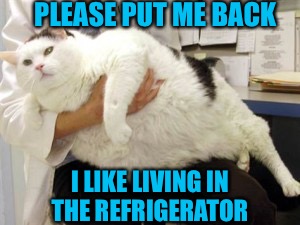 PLEASE PUT ME BACK I LIKE LIVING IN THE REFRIGERATOR | made w/ Imgflip meme maker