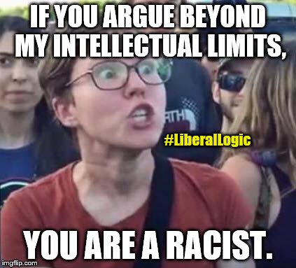 Have you encountered this type of liberal? | IF YOU ARGUE BEYOND MY INTELLECTUAL LIMITS, #LiberalLogic; YOU ARE A RACIST. | image tagged in angry liberal | made w/ Imgflip meme maker
